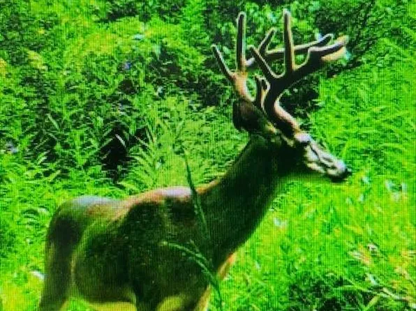 0 State Route 221, Georgetown, OH 45121