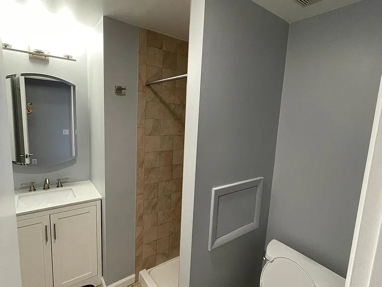 Hallway Bathroom with Shower