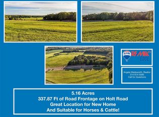 3739 Holt Rd, Wentzville, MO 63385