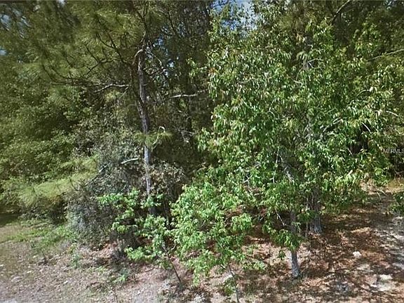 3rd image of Tall Pines Dr