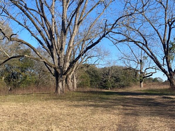 0 County Road 15, Clio, AL 36017