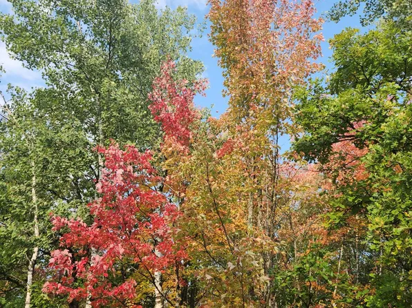 44221 Sand River Rd, Hinckley, MN 55037