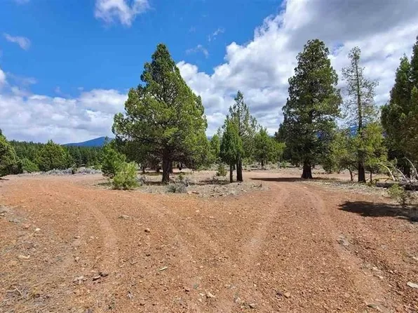 Robison Rd, Macdoel, CA 96058