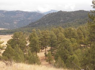 198 County Rd 112, Florissant, CO 80816