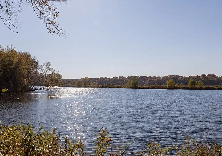 ReNew at Neill Lake — Photo 1