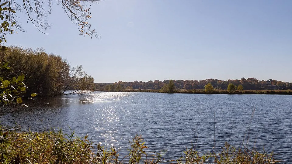 ReNew at Neill Lake