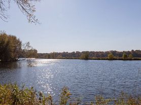 ReNew at Neill Lake