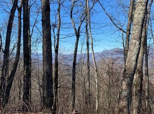 125 Boar Ridge Rd #125, Sylva, NC 28779