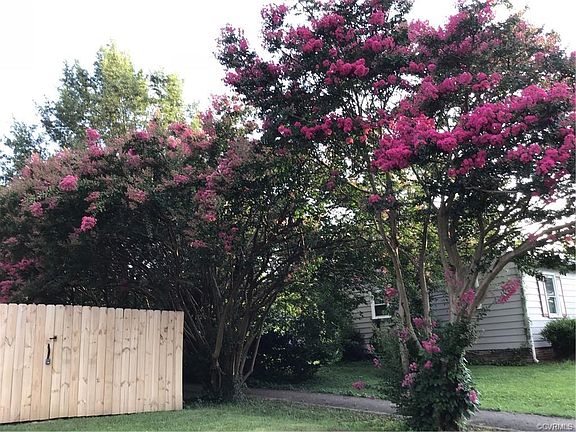 5th image of 717 Rex Ave