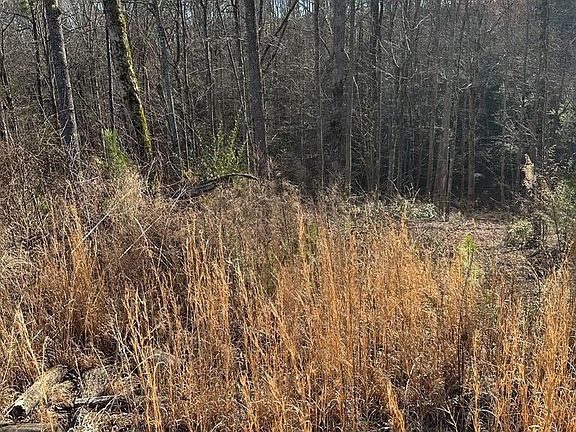 5th image of 77 River Overlook Ln