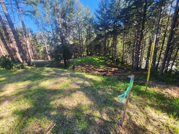 181 Ridge Rd, Whitethorn, CA 95589