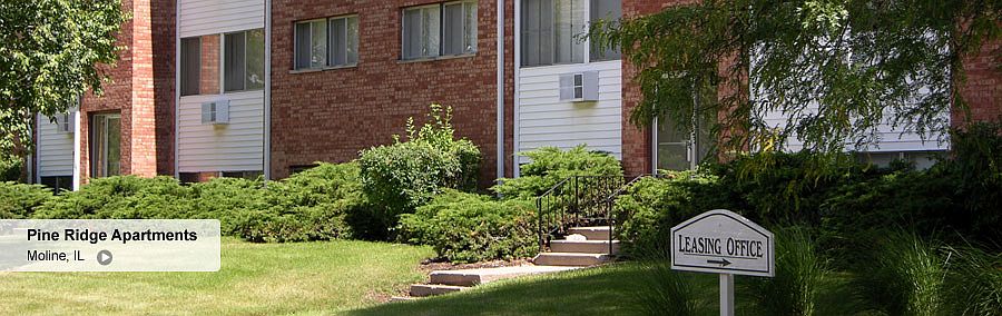 Beautifully Landscaped
