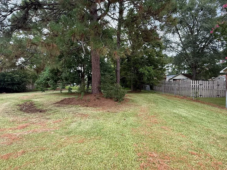 209 Longstreet St — Photo 33