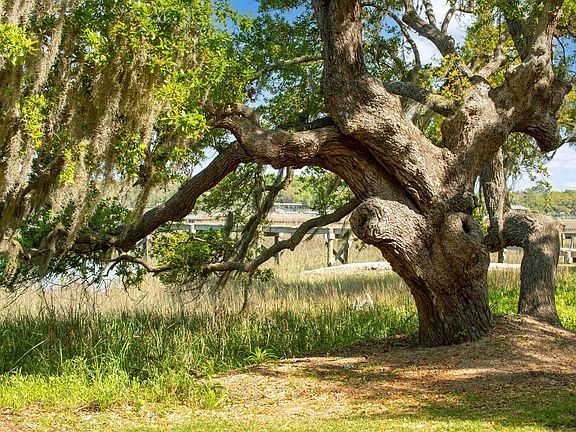 5th image of 3398 Freeman Hill Rd