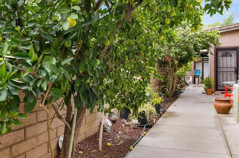 1 bed, 500 sqft, $1,900 — Photo 3