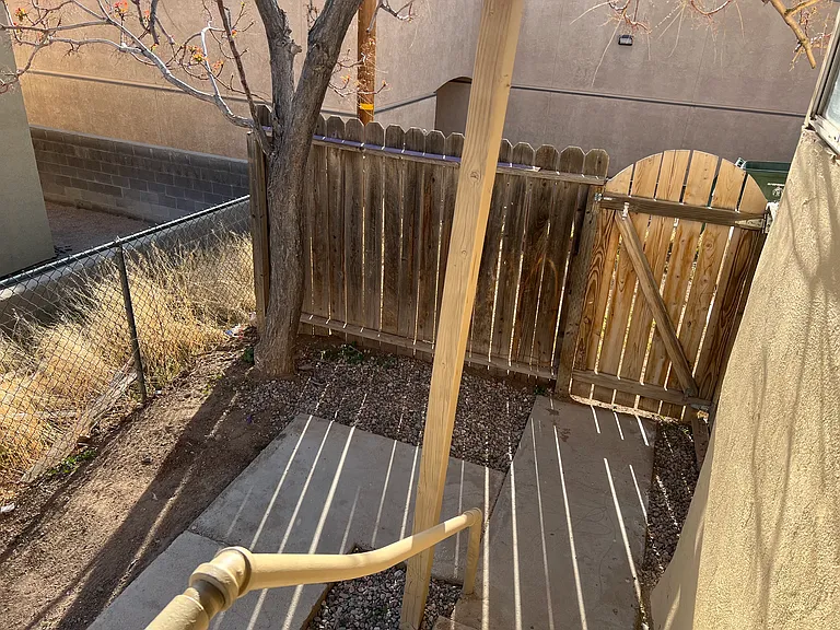 Back yard