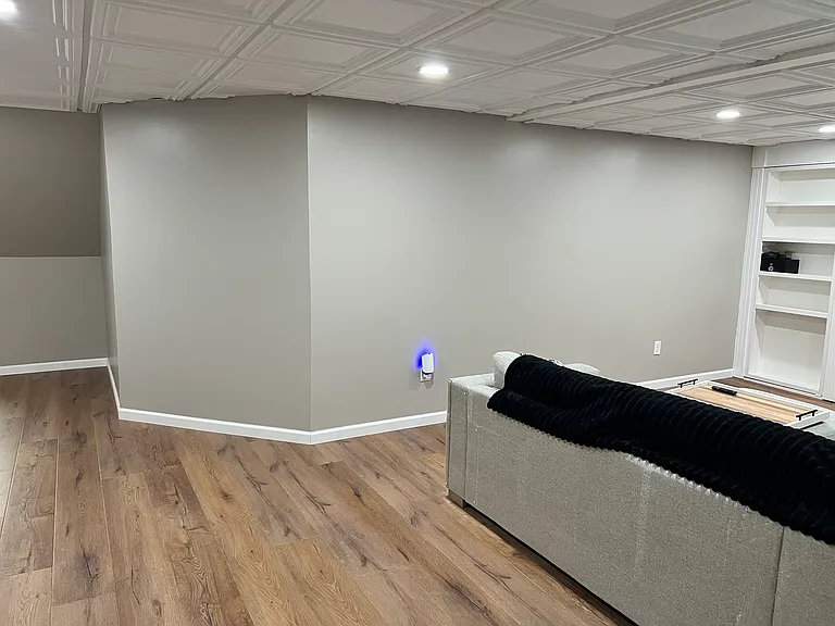 Entertainment Room