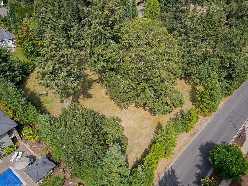 2nd image of Blacktail