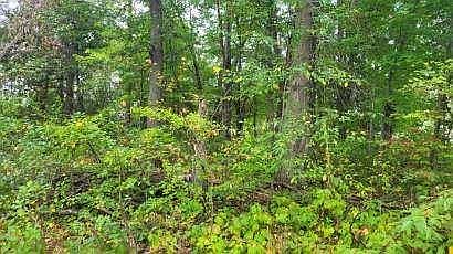 5th image of LOT 31 Tara Dr