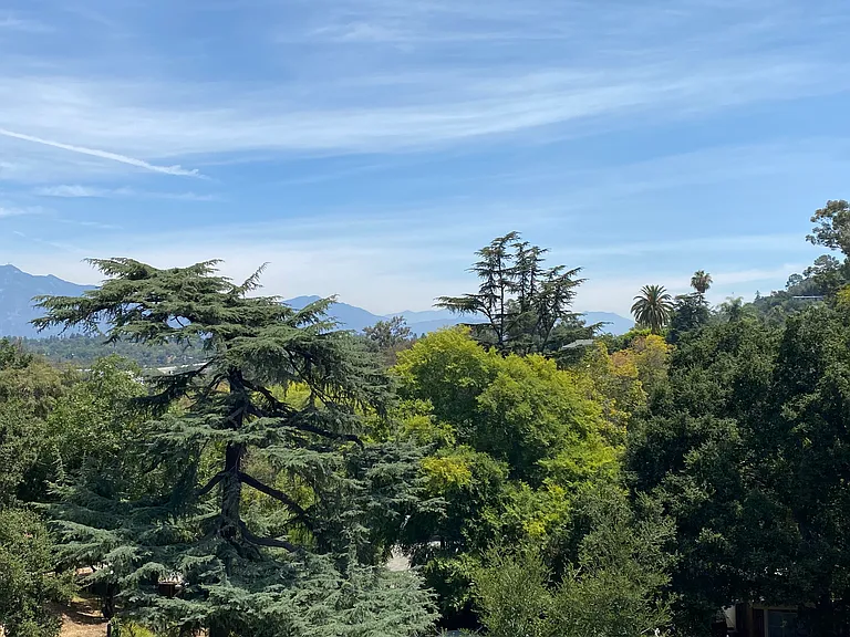 View from the living room