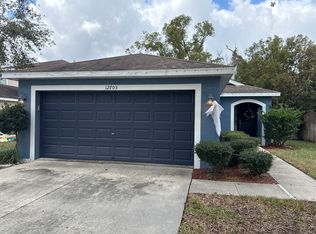 12703 Geneva Glade Dr, Riverview, FL 33578