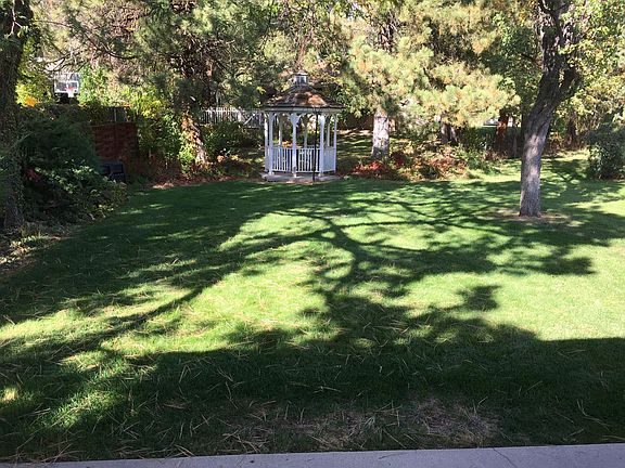 Backyard 2