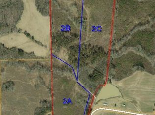 LOT -2C Lettuce Hall Rd, Spring Hope, NC 27882
