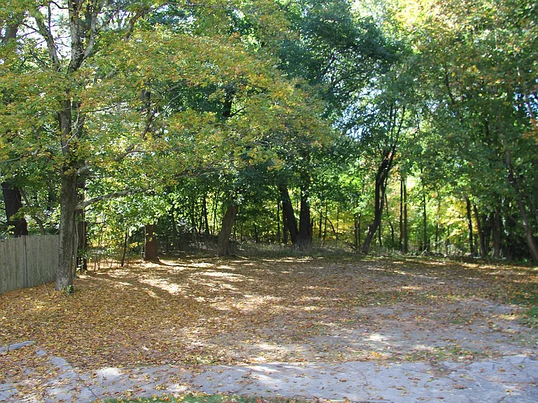 Back Yard and Parking