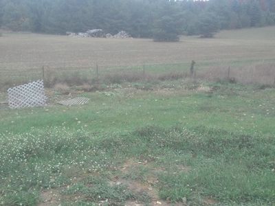 1018 N Main St, Evart, MI, 49631