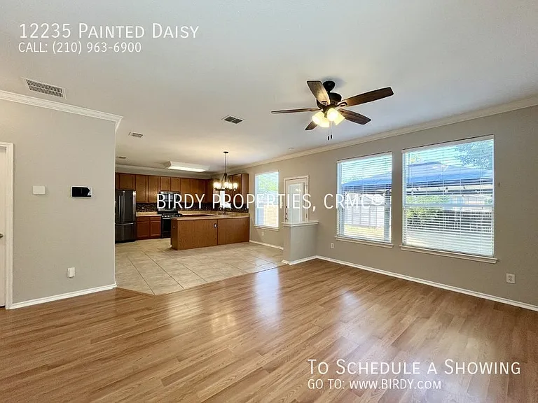12235 Painted Daisy — Photo 15