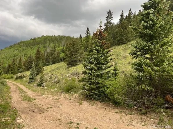 6650 Forbes Road, Fort Garland, CO 81133