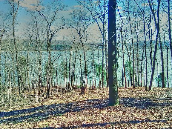 3rd image of 247 E Shore Dr Lot 117