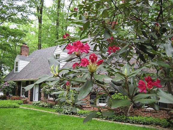 Spring - a special time