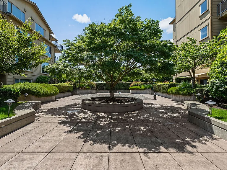 Summit at Madison Park — Photo 12