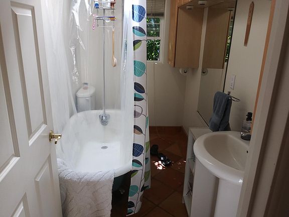 Claw foot tub&shower with skylight above.