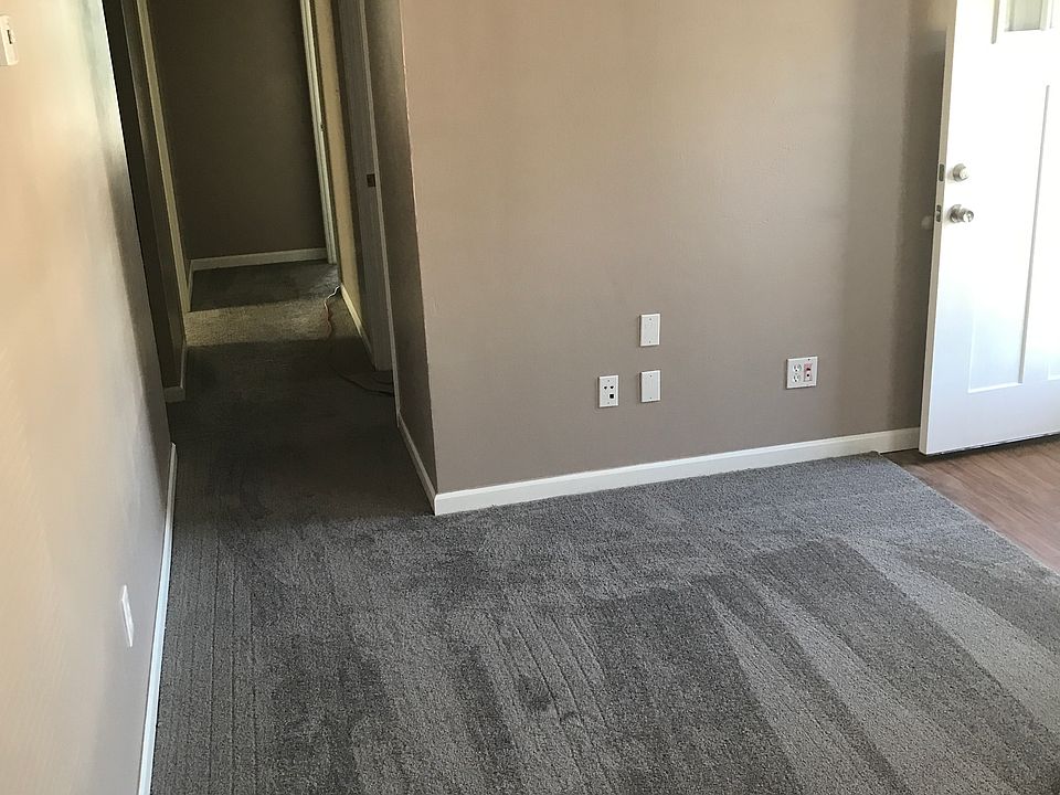 New Carpet