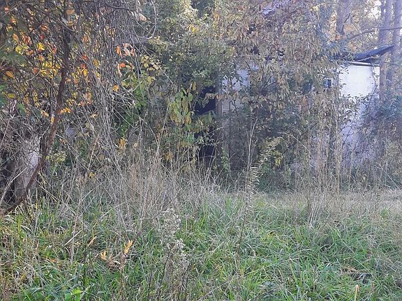 4th image of 2950 Chaney Rd