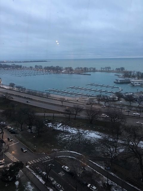 1st image of 3100 N Lake Shore Dr APT 1909