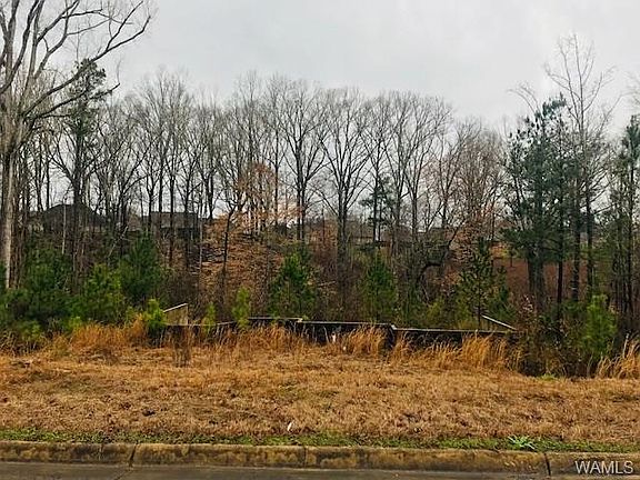 4th image of 13768 Brandon James Ave