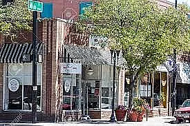 Charming street view with vibrant shops, leafy trees, and inviting storefronts showcasing a lively neighborhood atmosphere.