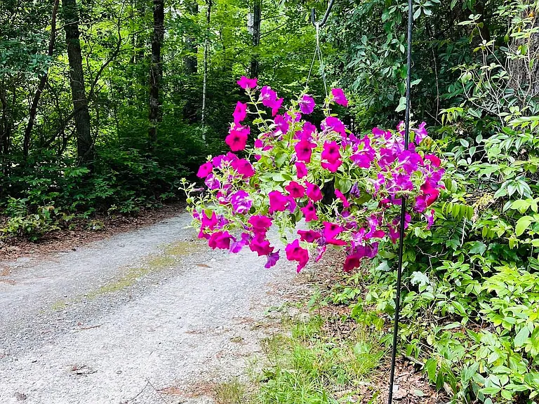 40 Tomahawk Dr — Photo 16