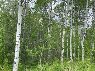 105 Heart Butte Cutoff, East Glacier Park, MT, 59434