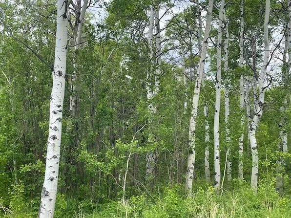 105 Heart Butte Cutoff, East Glacier Park, MT 59434