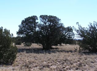 9 N9131, Concho, AZ 85924