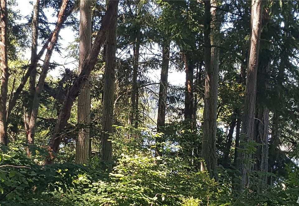 12314 Cole Point Dr Anderson Island WA Zillow