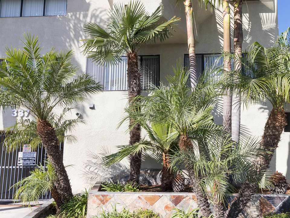 1st image of 337 Redondo Ave #203
