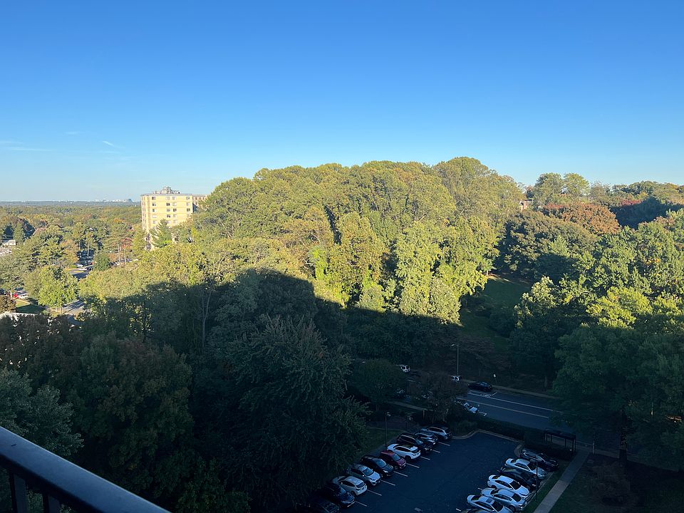 View from living room