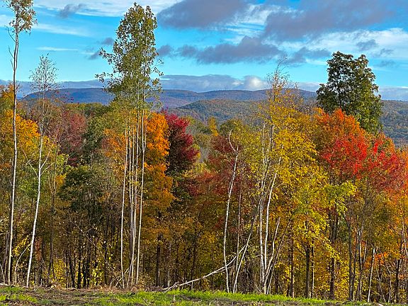 3rd image of 39 Swaller Hill Road lot 3