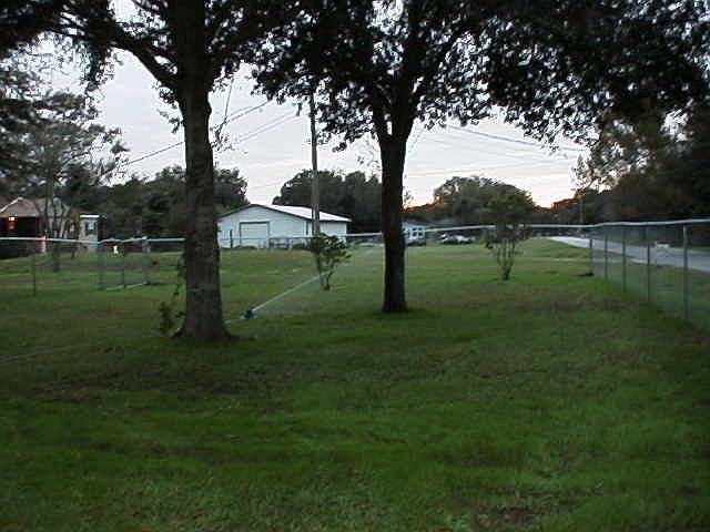 Side Yard