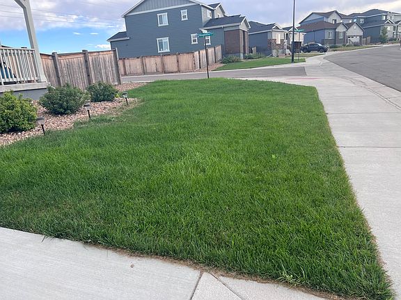 Front yard